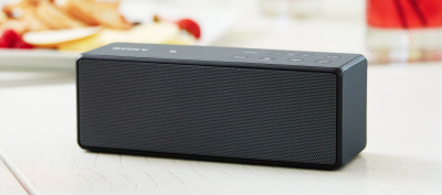 SONY SRS-X3